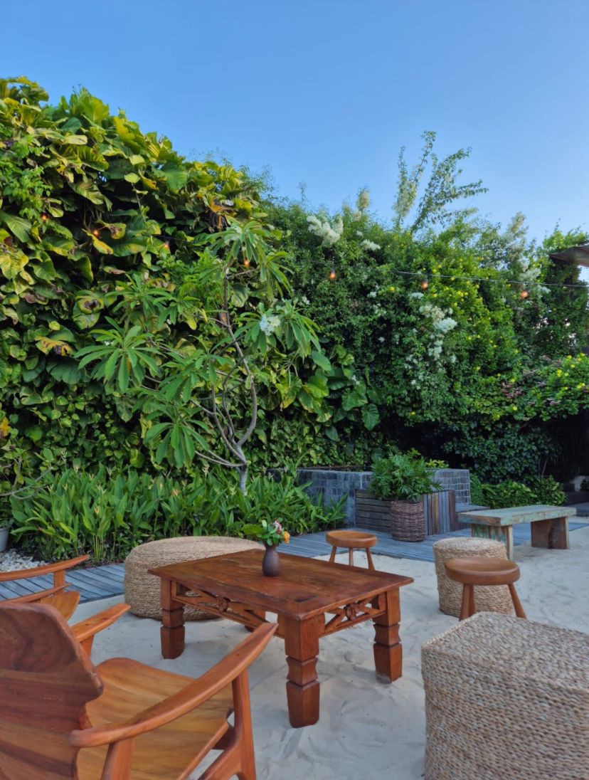 No Jardim